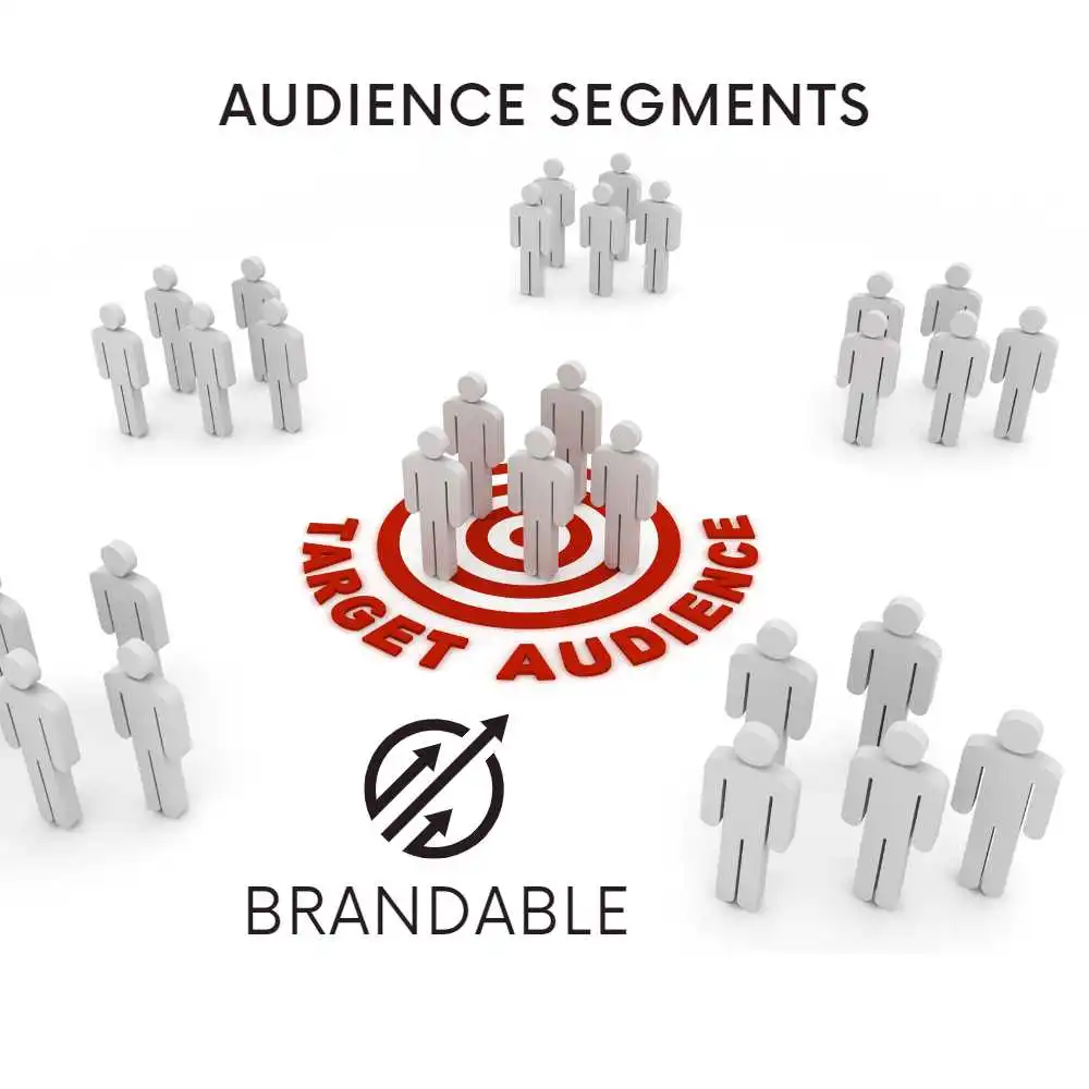 audience segmentaion Audience Segment Study by Brandable